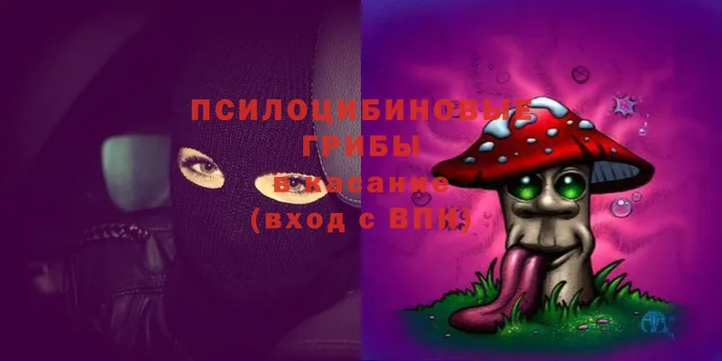 Псилоцибиновые грибы Magic Shrooms  где можно купить   Воткинск 